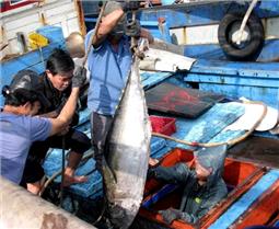 Muốn phát triển bền vững, phải ứng dụng khoa học và công nghệ